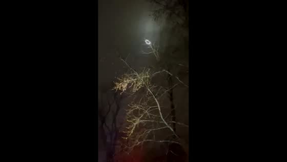 Drone-like object stuck in tree branches in New Jersey, USA