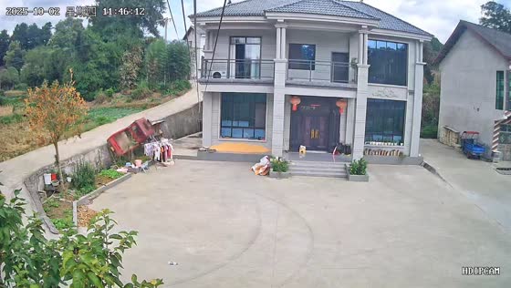 Vehicle falls into backyard, young boy first to respond in Guizhou, China