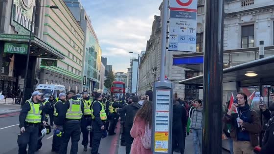Protesters rally for Palestine at Victoria Station: police intervene amid calls for ceasefire