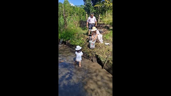 Girl catches slippery fish by hand while helping in a muddy pond in Yunnan, China