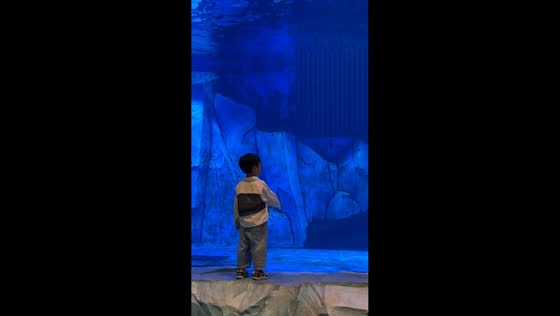 Boy startled as dolphin suddenly opens its mouth at aquarium in Hunan, China