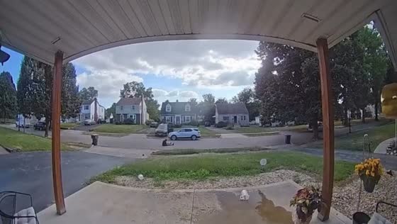 Family rushes to stop rolling vehicle outside home in Columbus, USA