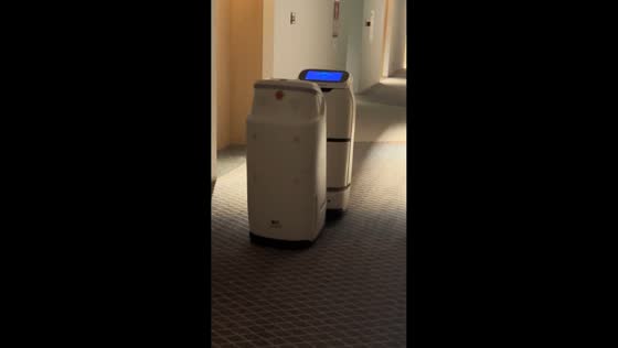 Two delivery robots hilariously collide in hallway in Guangdong, China