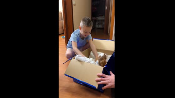 Birthday surprise: Zakhar's dream comes true as Benji the puppy joins the family in Volgograd