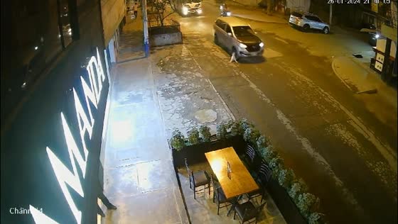 Dog hit by car while chasing bus: rescue and treatment in Lima, Peru