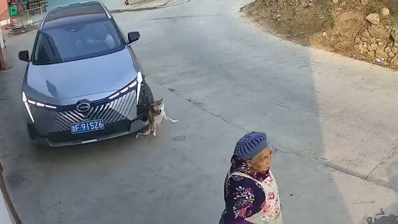 Person runs over dog in Sichuan, China