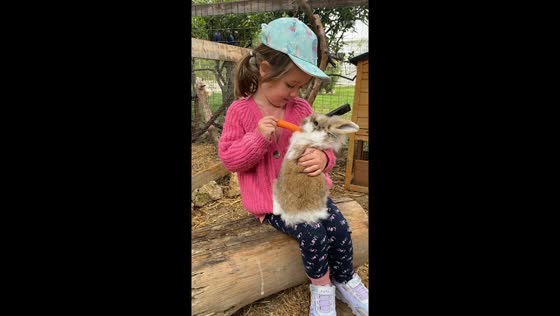 Evelyn's tender moment: feeding a rabbit in Zakynthos