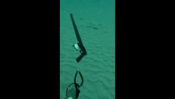 Speargun dragged away by fish in Florida, USA