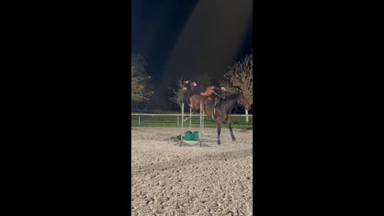 Rider falls during nighttime jumping exercise in Castelnaudary, France