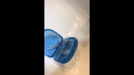Ant-infested retainers shock Seville resident