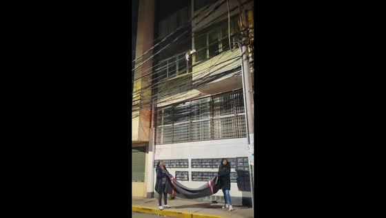Cat rescued from overhead wire by firefighters in Cusco, Peru