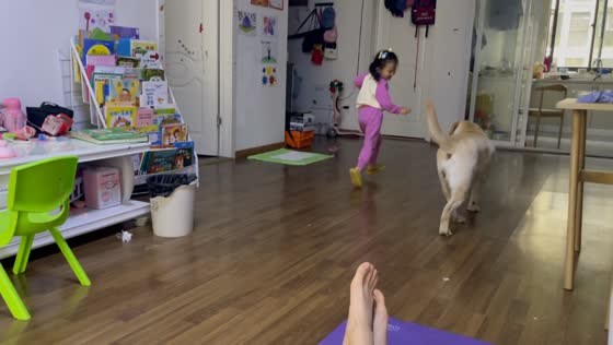 Playful Labrador accidentally trips young girl during a game at home in Anhui, China