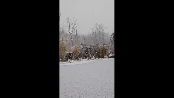 Heavy snowfall transforms rural landscape during winter storm in Hampton, USA