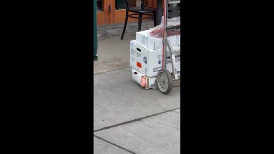 Exposed meat spotted in delivery boxes outside restaurant in New York, USA
