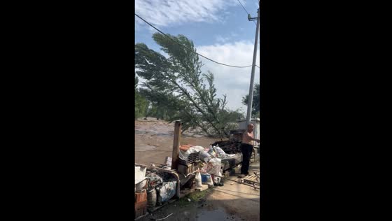 Community builds barrier as flash flood sweeps away tree in Hebei, China
