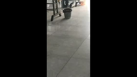 Young man lets restaurant cat watch phone videos in Jiangsu, China