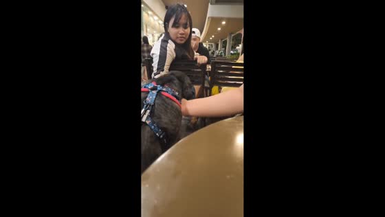 Dog excited over chicken at Jollibee SM Mall of Asia in Pasay, Philippines