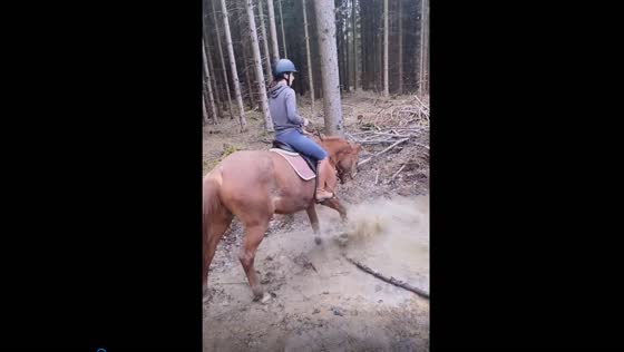 Conalie the playful puddle prancer: a horse's muddy adventure in Göthewitz, Germany