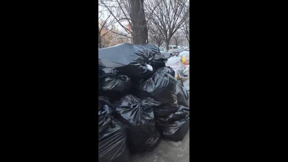 Winter garbage piles line Crown Heights streets in New York, USA