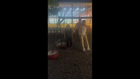 Wooden swing frame collapses during ride in Inner Mongolia, China