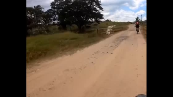 Cyclist escapes charging cow, witnessing a bizarre riverbank leap gone awry