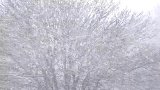 Heavy snowfall blankets coastal Aberdeen amid winter warning in Scotland, UK