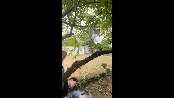 Woman falls from tree while eating watermelon in Zhejiang, China