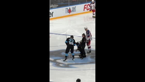 Dog bite surprise at Dinamo Minsk hockey match in Minsk, Belarus