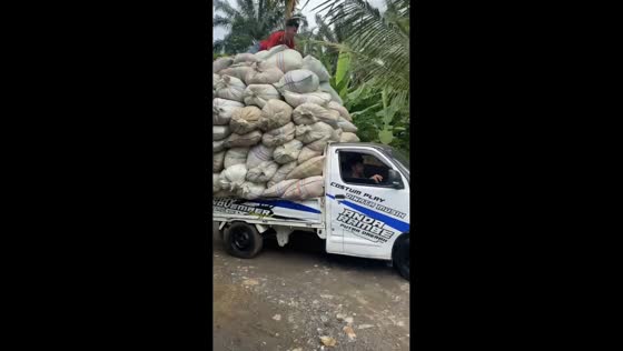 Mini truck’s overloaded cargo spills with guy on top in Kisaran, North Sumatra, Indonesia