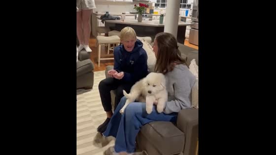 Surprising parents with a puppy for Christmas in Charlotte, North Carolina