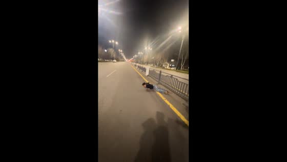 Man falls after jumping road fence in Henan, China