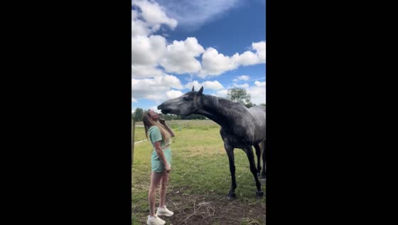 Teaching horse to give kisses: Frank's new trick in Thetford, UK