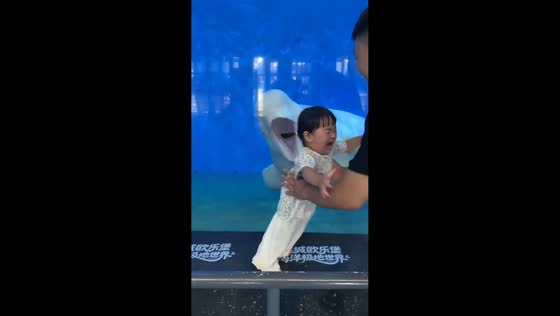 Girl startled by playful beluga at aquarium in Hebei, China