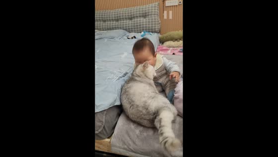 Toddler and cat share playful kisses in Henan, China