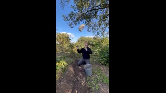 Man playfully tosses French Bulldog puppy in adorable mid-air catch game