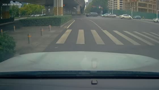 E-bike rider nearly falls after sudden stop while crossing a pedestrian lane in Henan, China