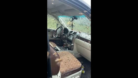 Massive swarm of bees fills car's interior in an unusual sight in Mikrakh, Russia