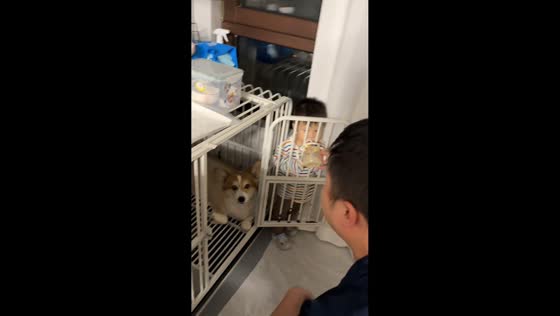 Boy drinks milk inside dog cage in a playful moment in Hebei, China