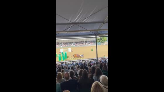 Horse crashes during hurdle jump in Berkshire, England