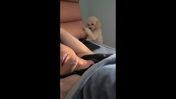 Dog gently wakes owner by rubbing the bed in Jiangsu, China 