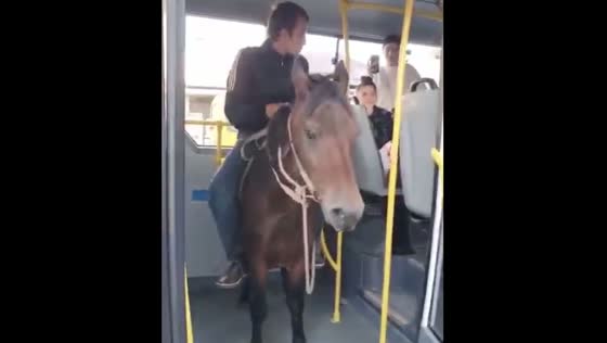 Man brings horse onto city bus, amusing passengers in Georgia