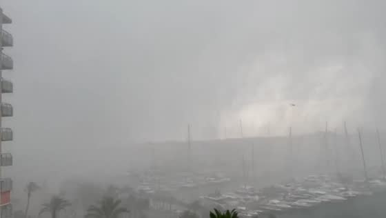 Dramatic storm ravages Mallorca: gale force winds and torrential rain