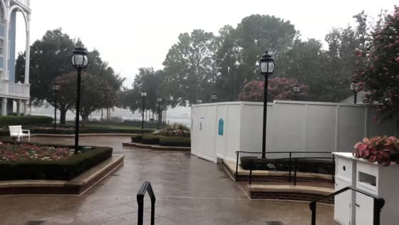 Moderate rain reduces visibility in Lake Buena Vista, Florida