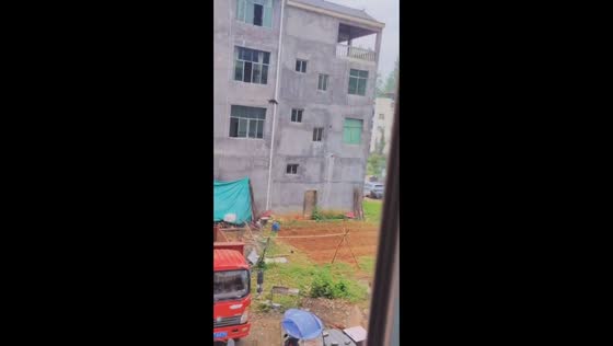 Dog leaps safely from second floor window in Jiangsu, China
