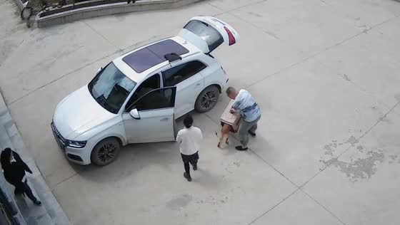 Dog jumps into cage carrier by itself in Jilin, China