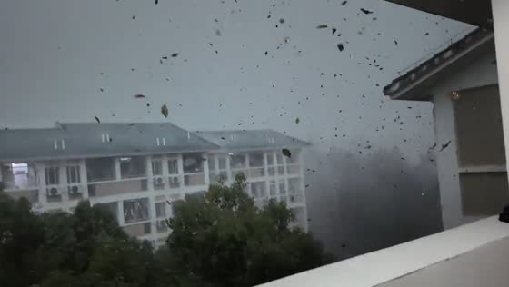 Wind blows leaves and curtains in Jiangmen, China
