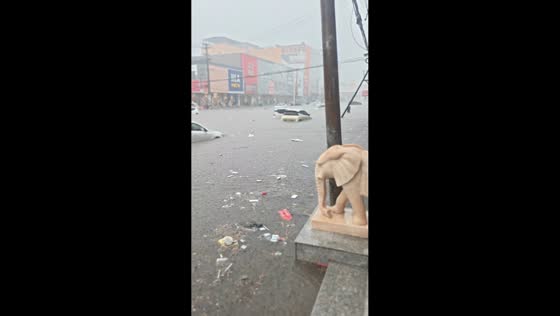 Car floats in floodwaters as heavy rain covers street in Hebei, China