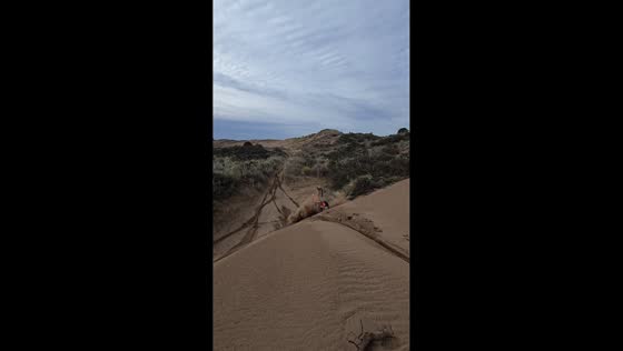 Motorbike rider crashes climbing uphill on sand in Monte Hermoso, Argentina