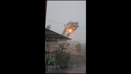 Tree explodes after hitting power grid in Gunung Kidul, Indonesia