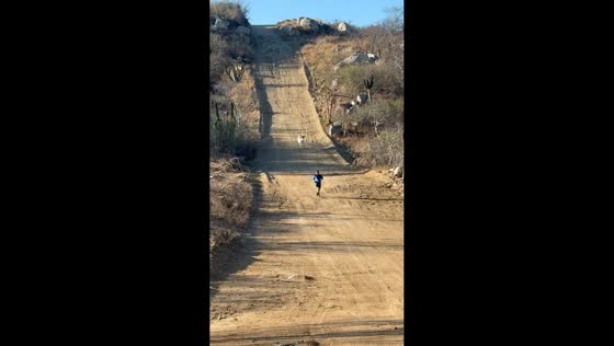 Hiker runs downhill as cow gives chase in Cabo San Lucas, Mexico